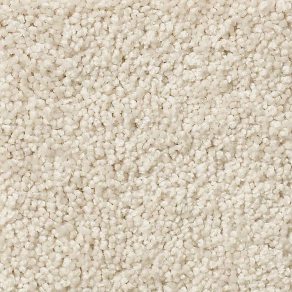 Shaw Foundations Keen Senses I Carpet in Alabaster