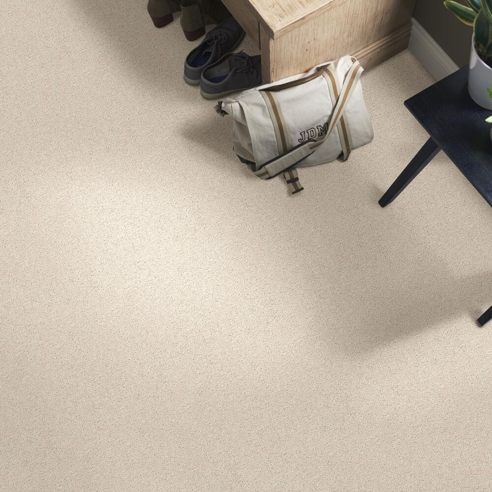 16279-shaw-foundations-keen-senses-i-carpet-in-alabaster-1.jpg
