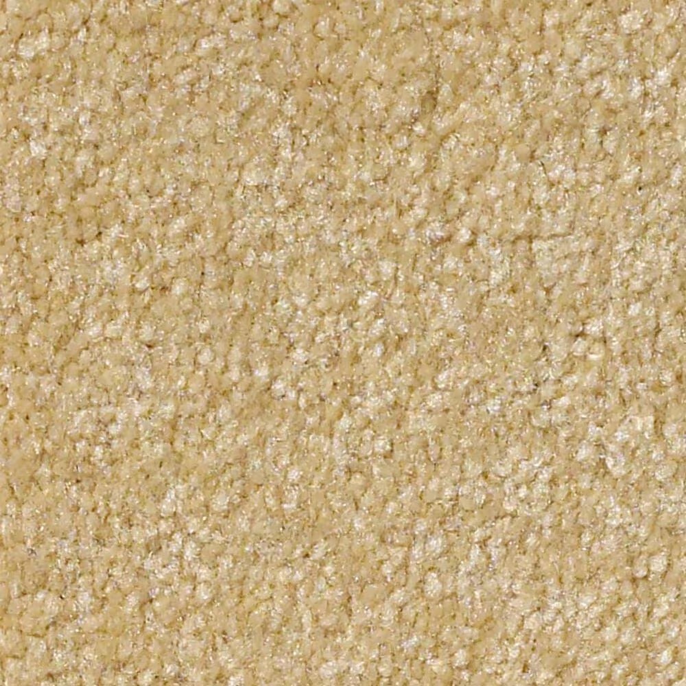 Shaw Luxuriant Carpet in Popsicle Stick