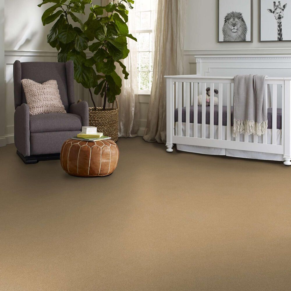 162911-shaw-luxuriant-carpet-in-popsicle-stick-1.jpg