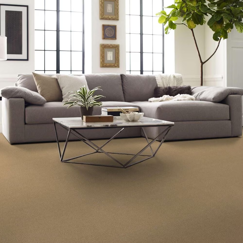 162911-shaw-luxuriant-carpet-in-popsicle-stick-1.jpg