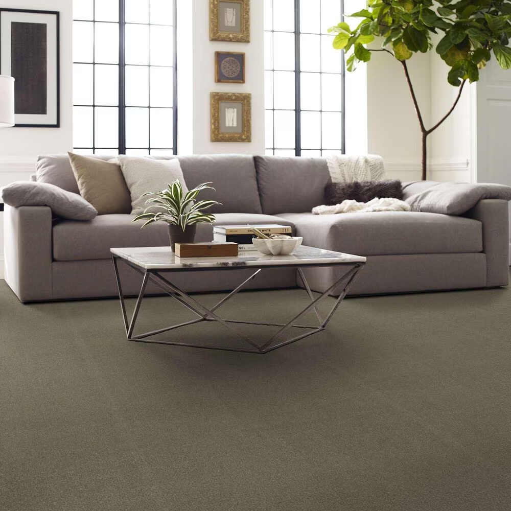 162946-shaw-luxuriant-carpet-in-silver-sage-1.jpg