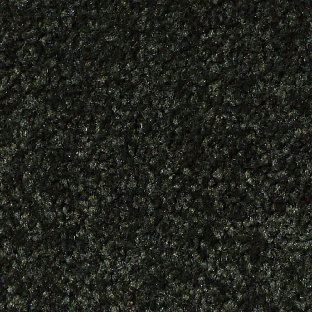 Shaw Luxuriant Carpet in Hidden Valley