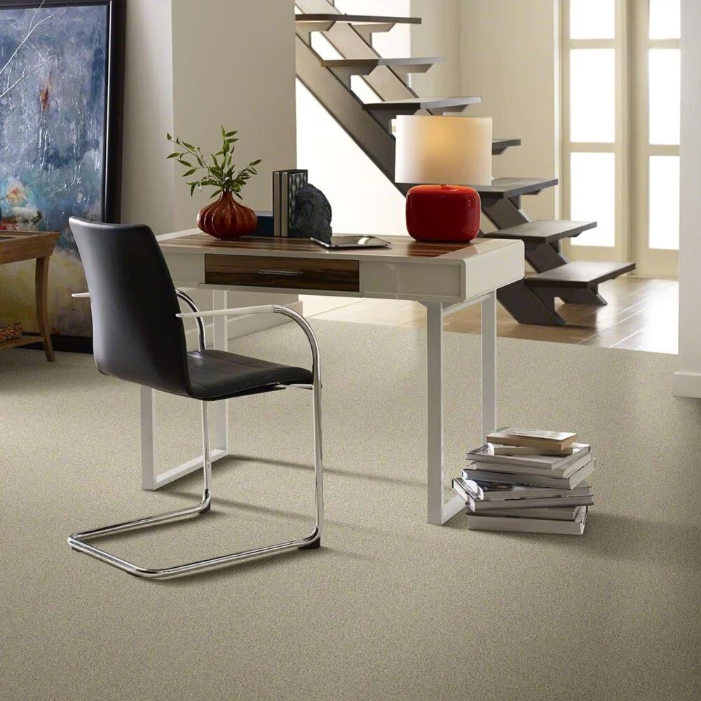 16312-shaw-keen-senses-i-carpet-in-shoreline-1.jpg