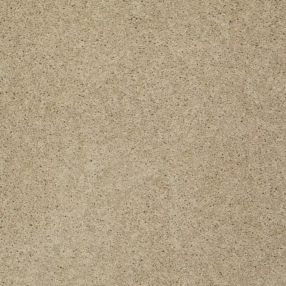 Shaw Keen Senses I Carpet in Golden Rule