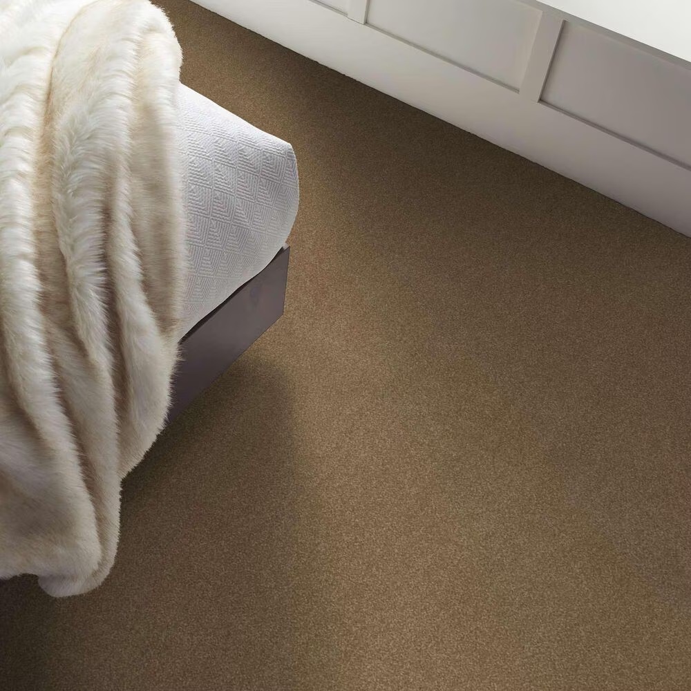 163541-shaw-luxuriant-carpet-in-sienna-1.jpg
