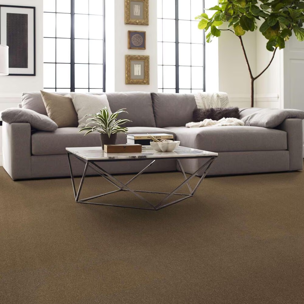 163541-shaw-luxuriant-carpet-in-sienna-1.jpg