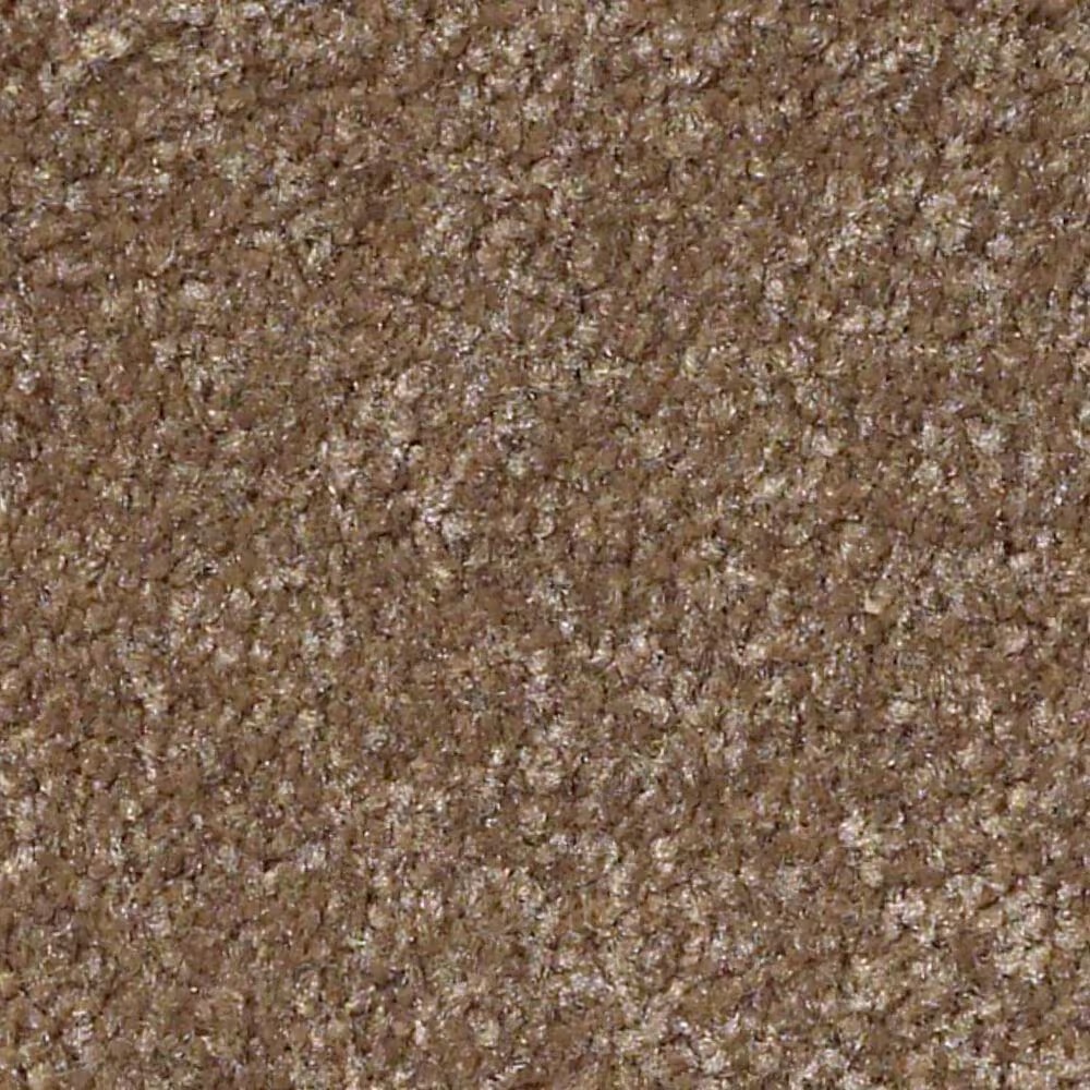 Shaw Luxuriant Carpet in Dinosaur