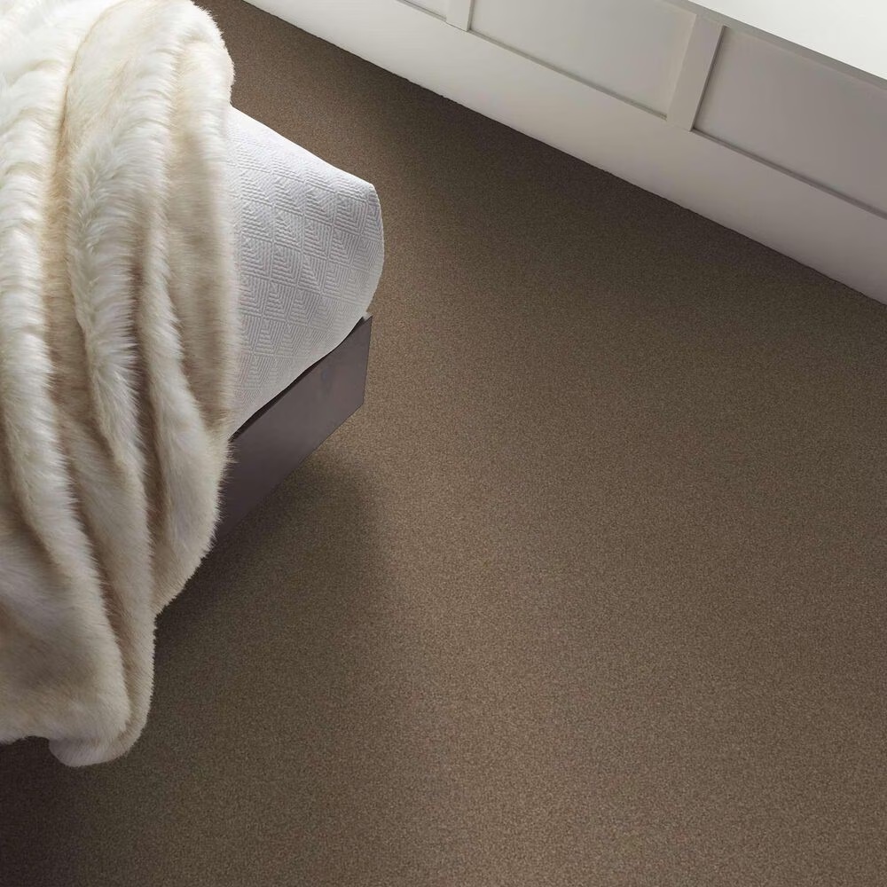 163576-shaw-luxuriant-carpet-in-dinosaur-1.jpg