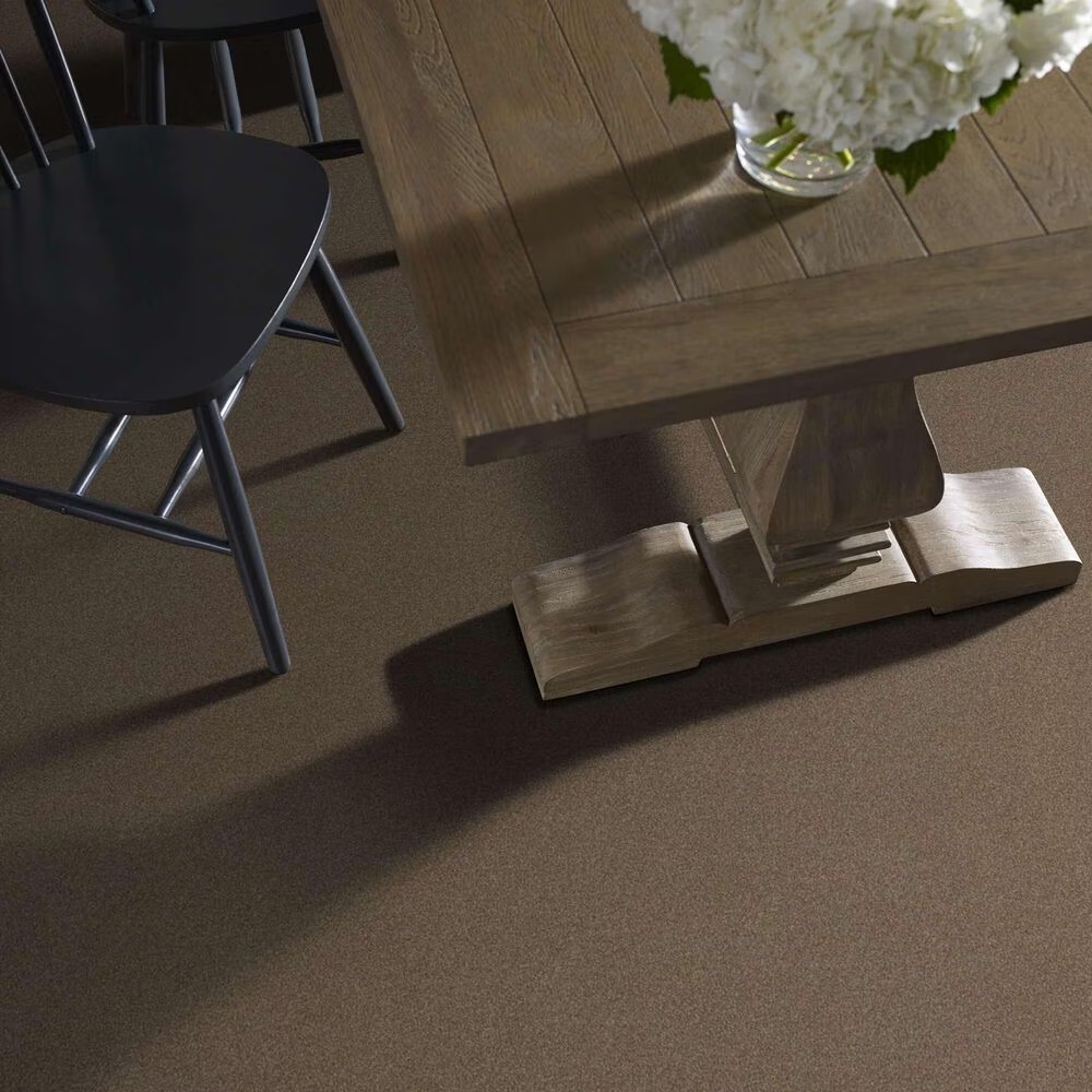 163576-shaw-luxuriant-carpet-in-dinosaur-1.jpg