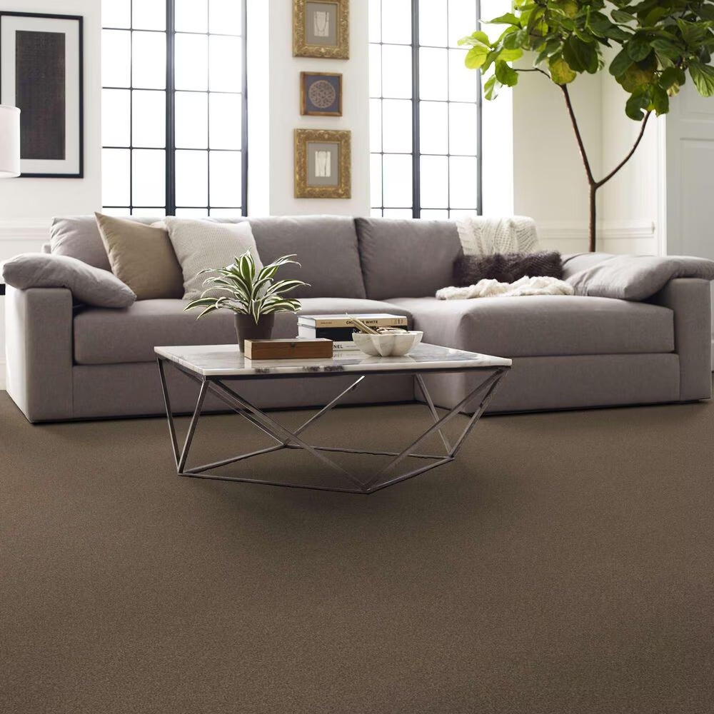 163576-shaw-luxuriant-carpet-in-dinosaur-1.jpg