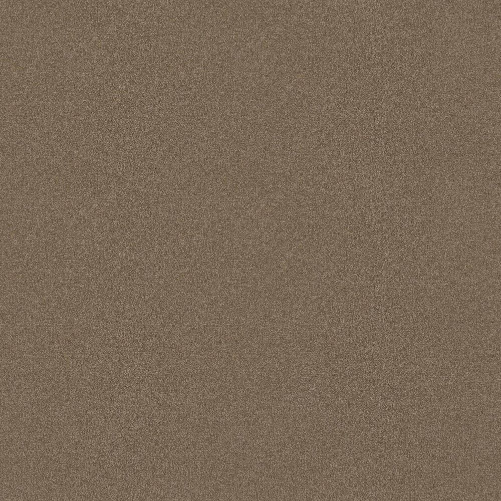 163576-shaw-luxuriant-carpet-in-dinosaur-1.jpg