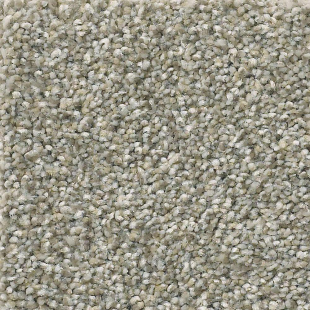 Shaw Montage I Carpet in Tempting Taupe