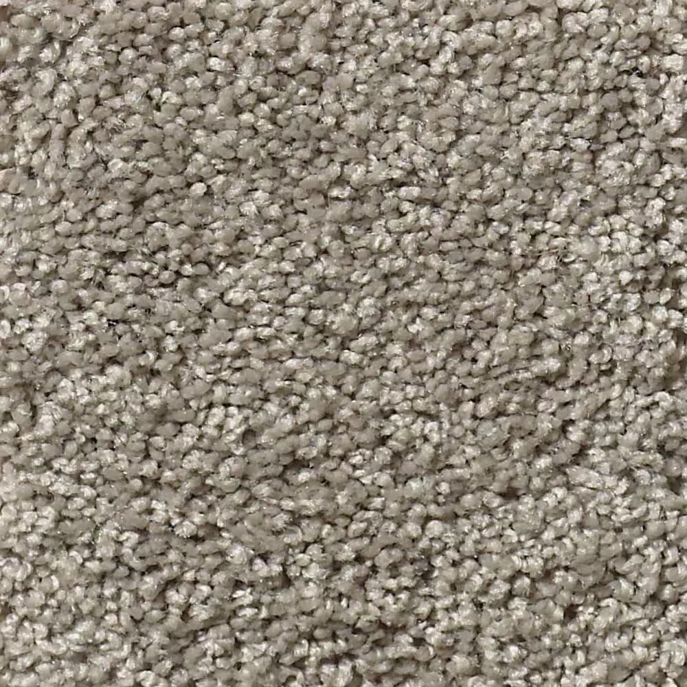 Shaw Foundations Keen Senses I Carpet in Slate