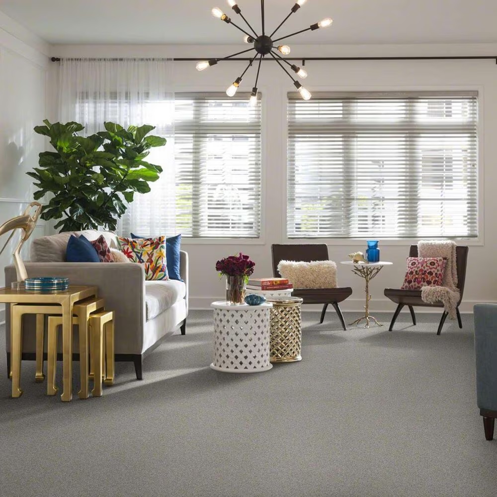 16442-shaw-keen-senses-i-carpet-in-lady-in-gray-1.jpg