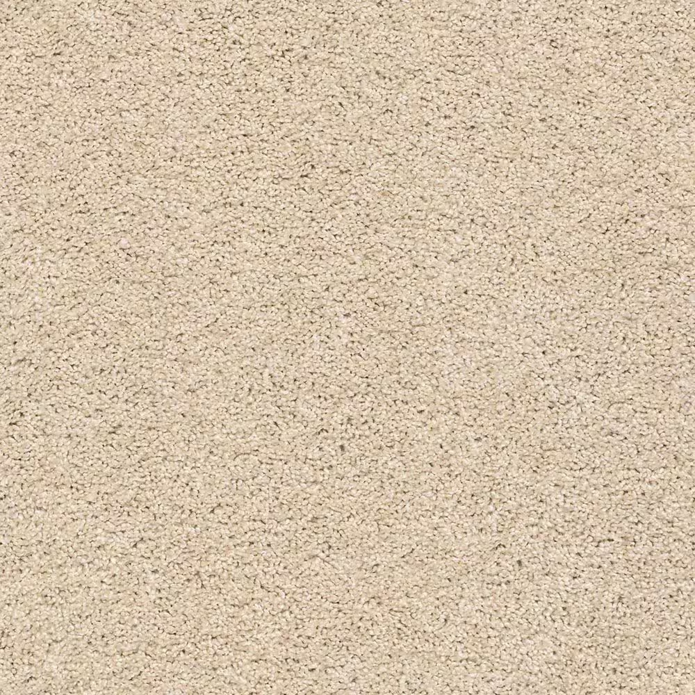 Shaw Acadia Park Carpet in Delicate