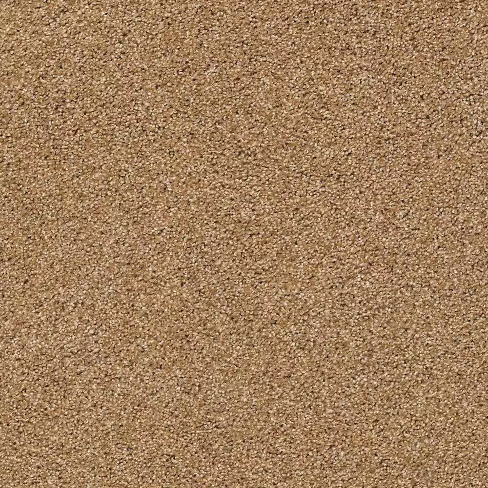 Shaw Acadia Park Carpet in Saddle