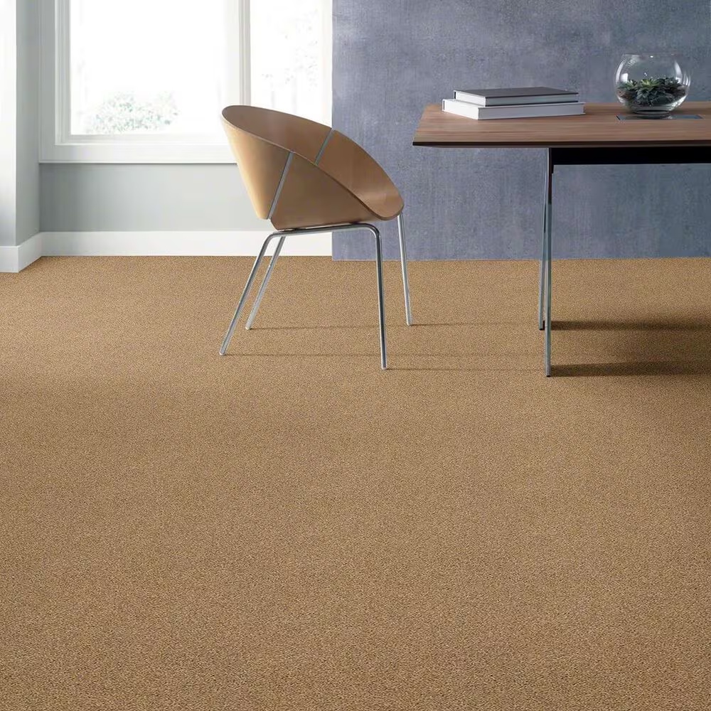 16540-shaw-acadia-park-carpet-in-farro-1.jpg