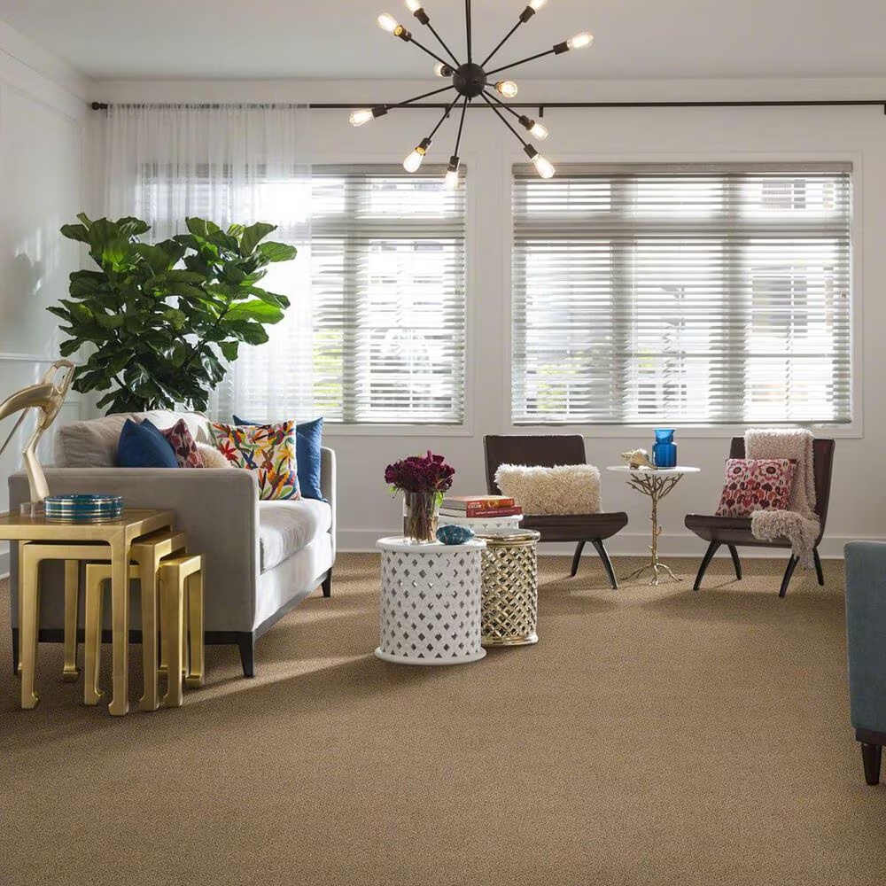 16541-shaw-acadia-park-carpet-in-wicker-1.jpg