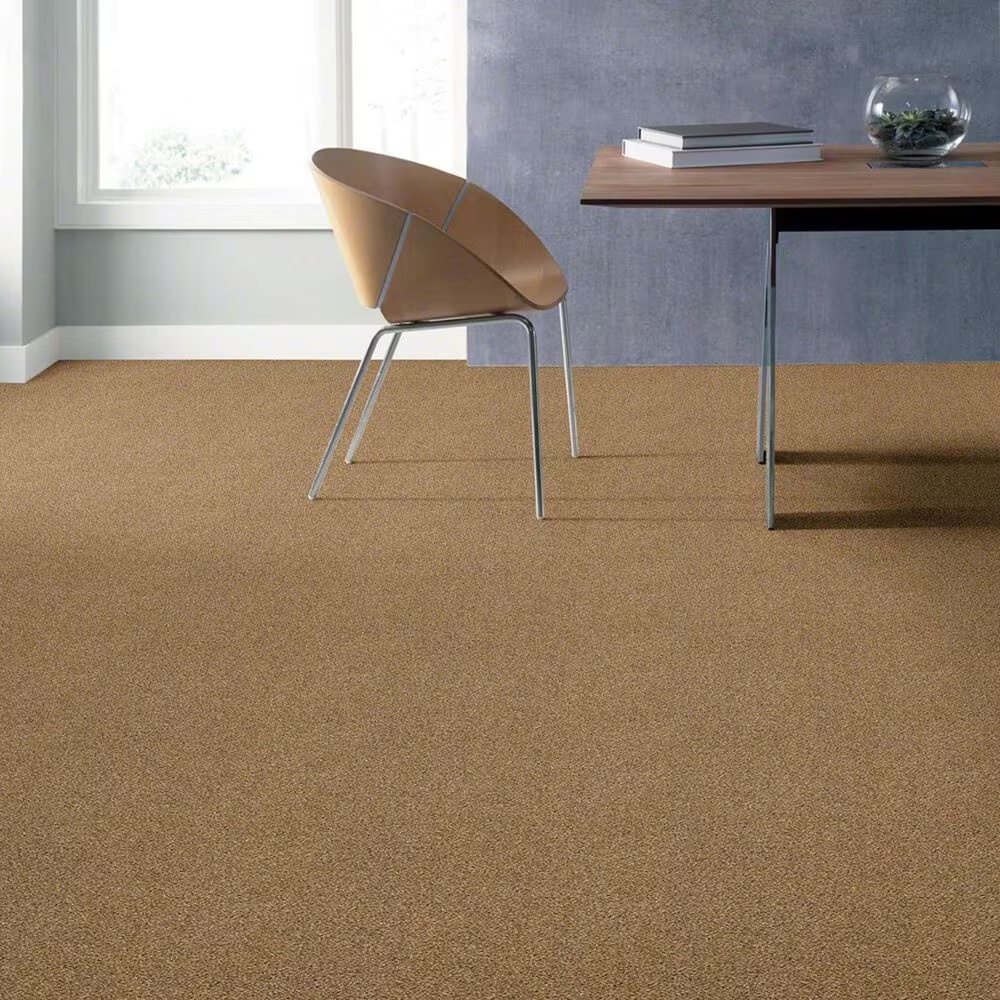 16542-shaw-acadia-park-carpet-in-caramelo-1.jpg