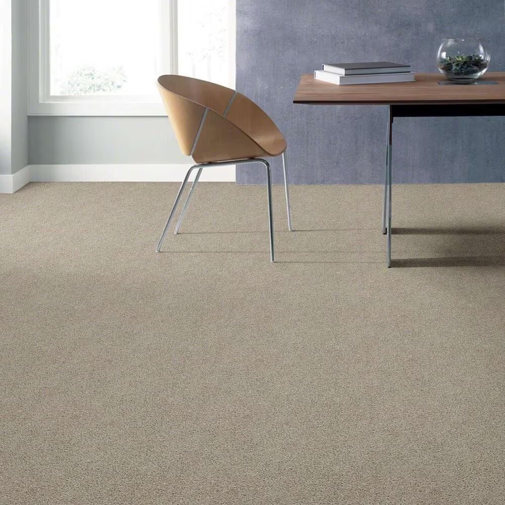 Shaw Acadia Park Carpet in Shale