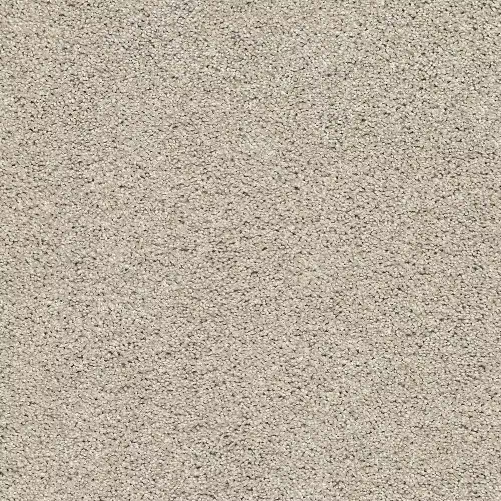 16543-shaw-acadia-park-carpet-in-shale-1.jpg