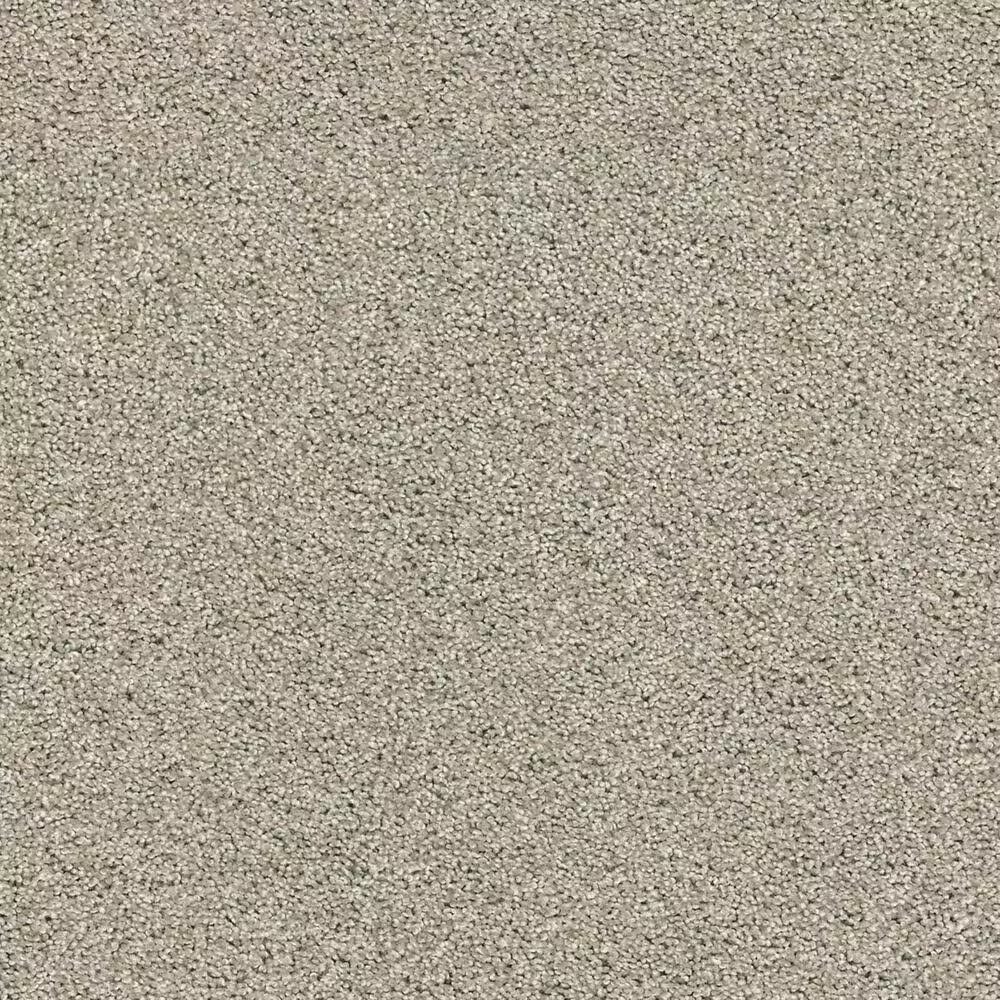 Shaw Acadia Park Carpet in Shawdow