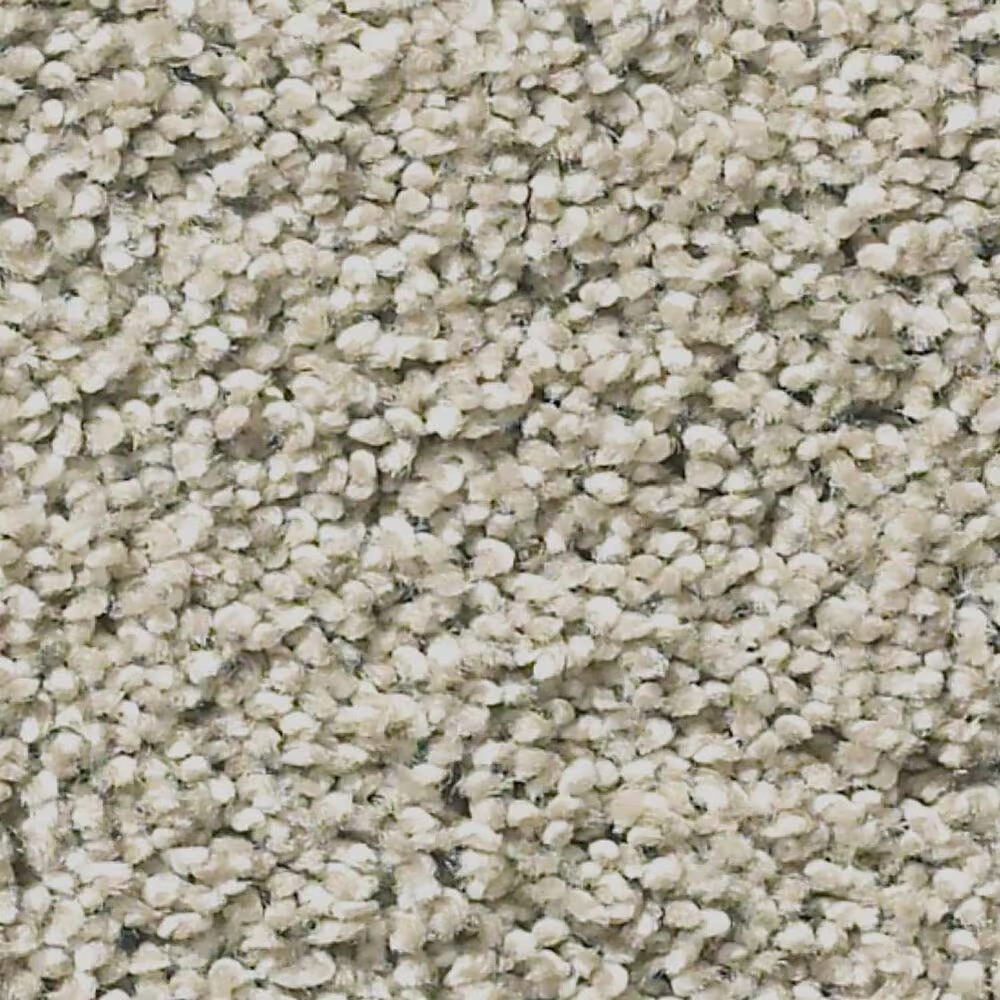 Shaw Anderson Acadia Park Carpet in Shadow