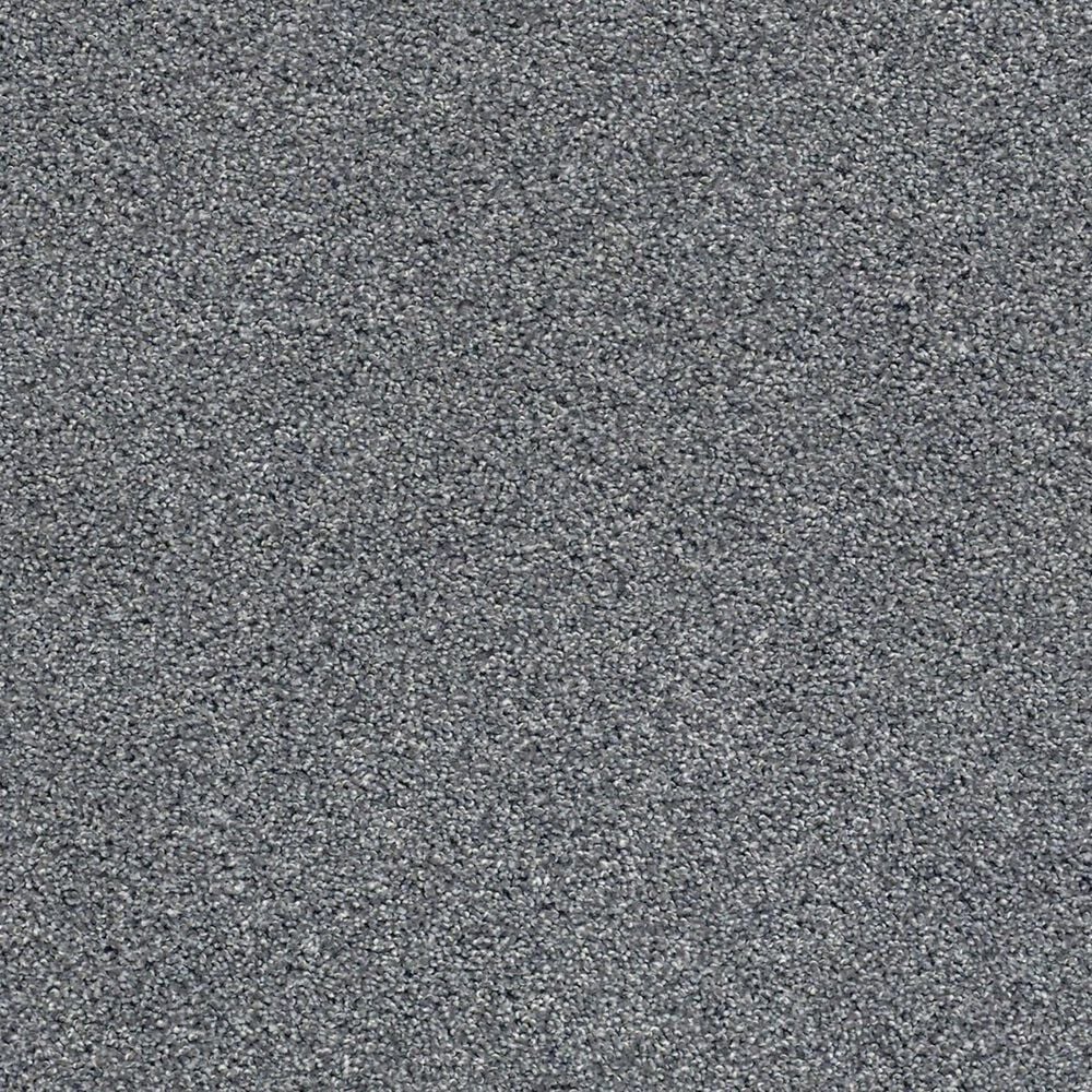 Shaw Acadia Park Carpet in Mineralite