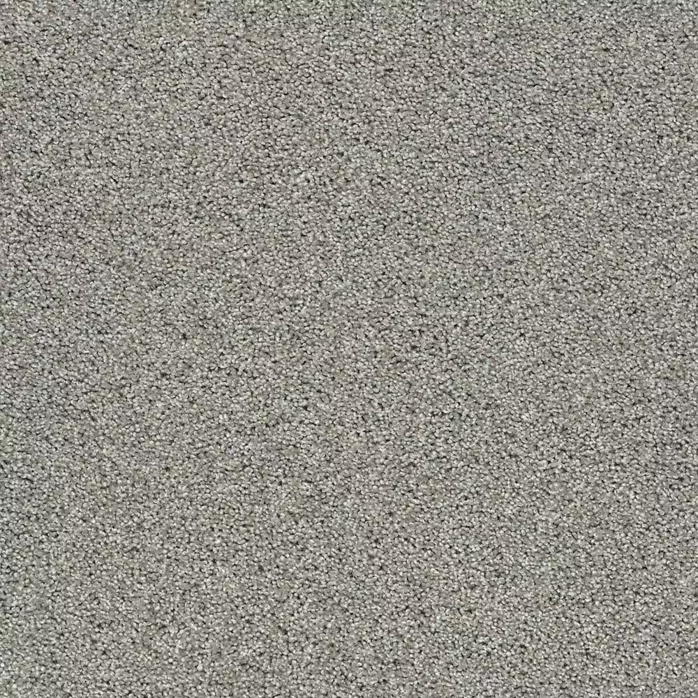 Shaw Acadia Park Carpet in Drift