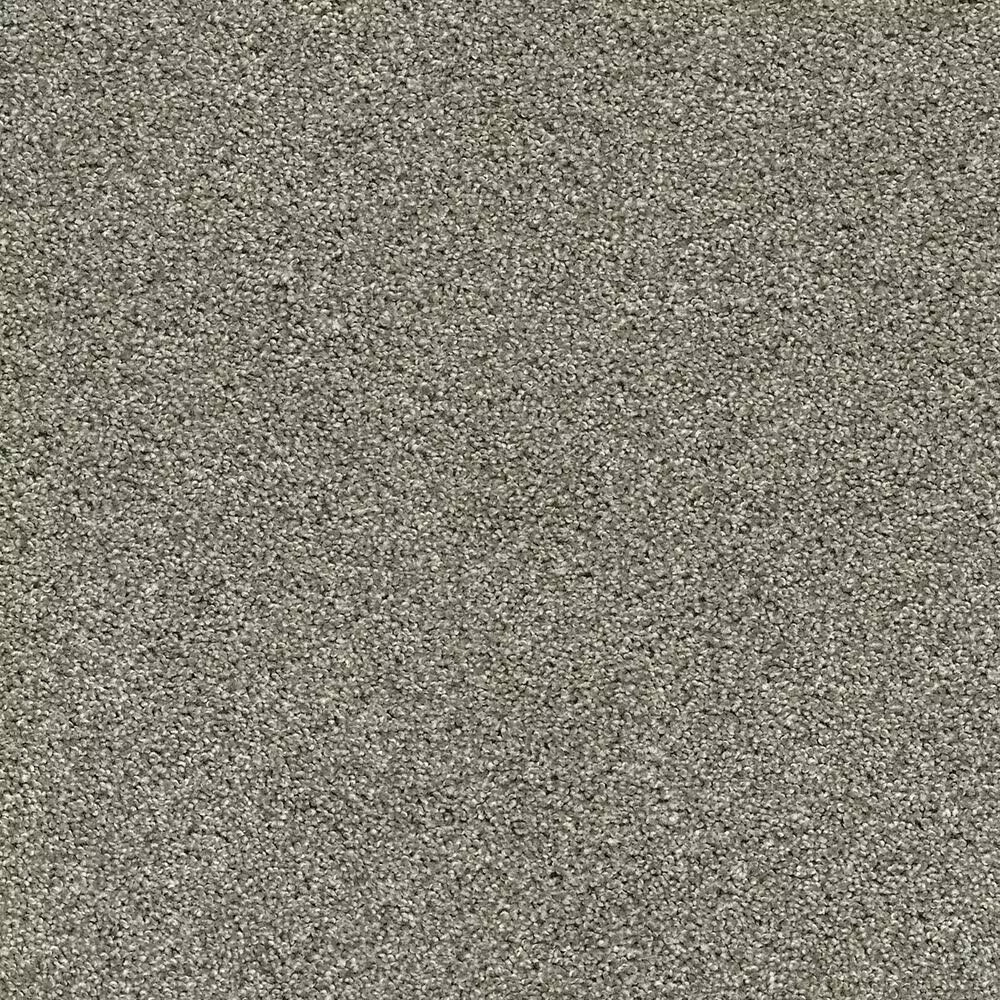 Shaw Acadia Park Carpet in City Gray