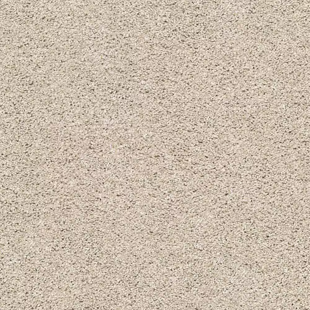 16554-shaw-acadia-park-carpet-in-smoky-suede-1.jpg