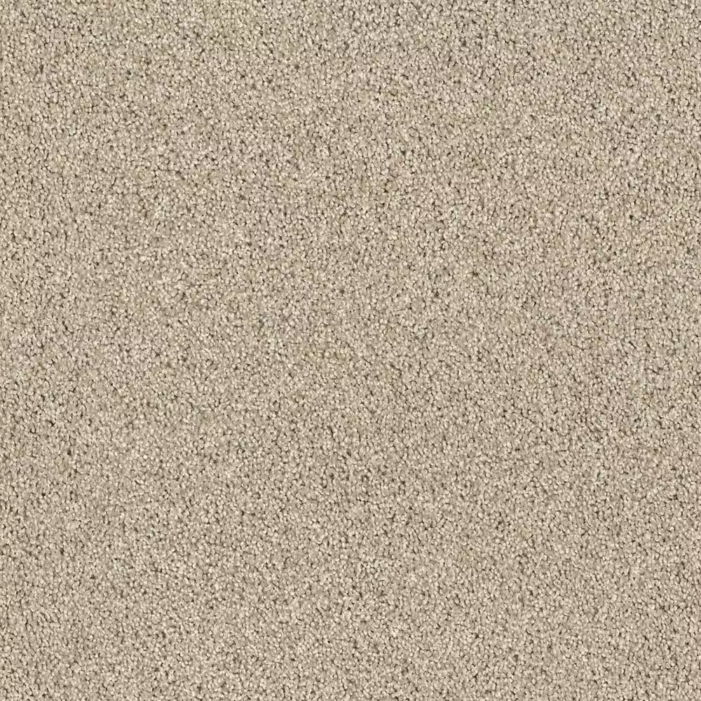 Shaw Acadia Park Carpet in Clay