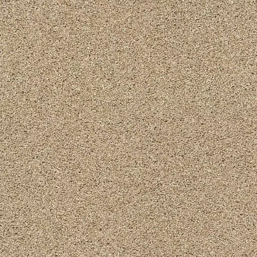 Shaw Acadia Park Carpet in Serengeti