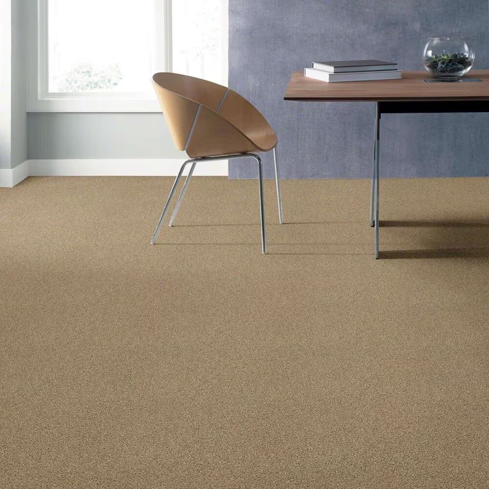 16557-shaw-acadia-park-carpet-in-serengeti-1.jpg