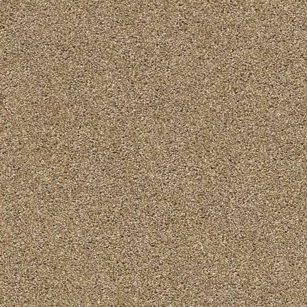 Shaw Acadia Park Carpet in Lodge