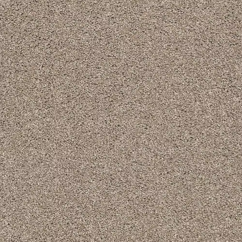 Shaw Acadia Park Carpet in Caribou