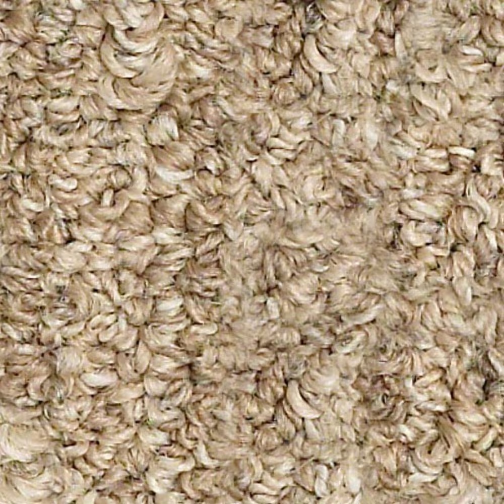 Shaw Natural Balance Carpet in Driftwood
