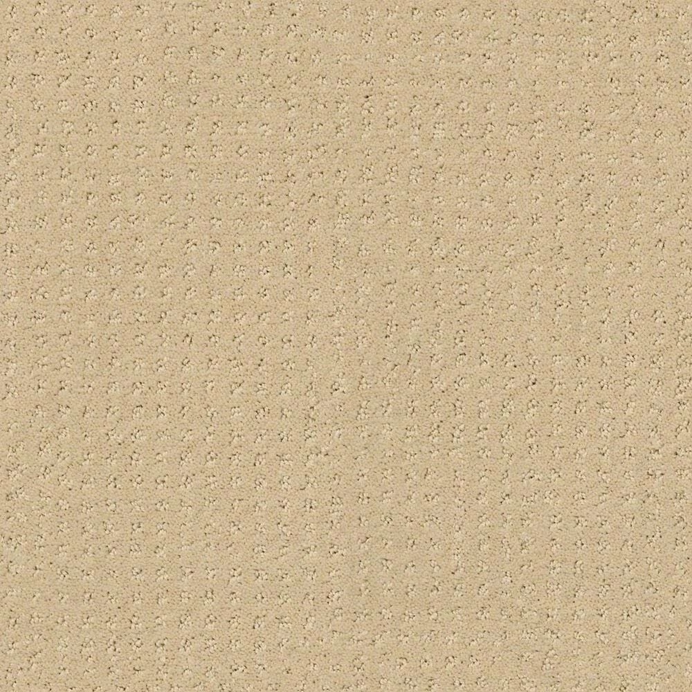 Shaw Perpetual Move Carpet in Shoreline