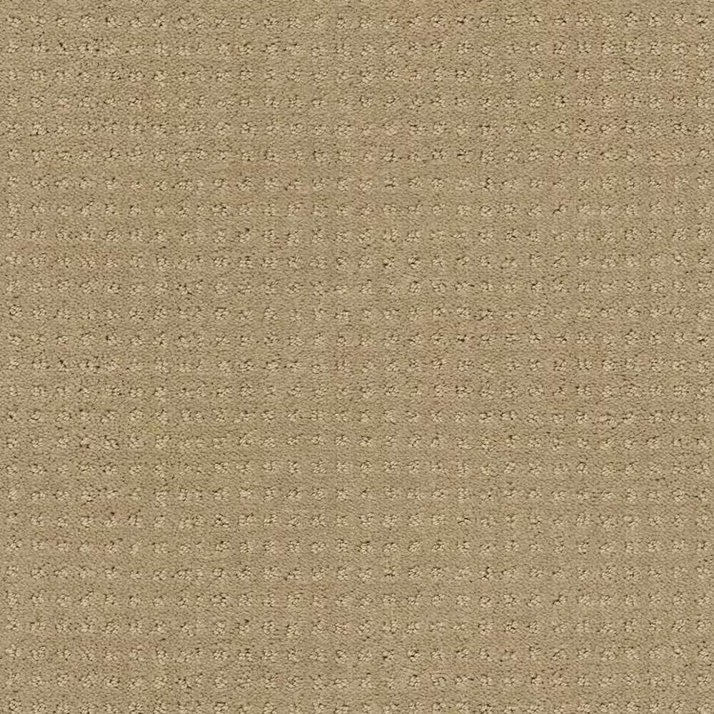 Shaw Perpetual Move Carpet in Safari