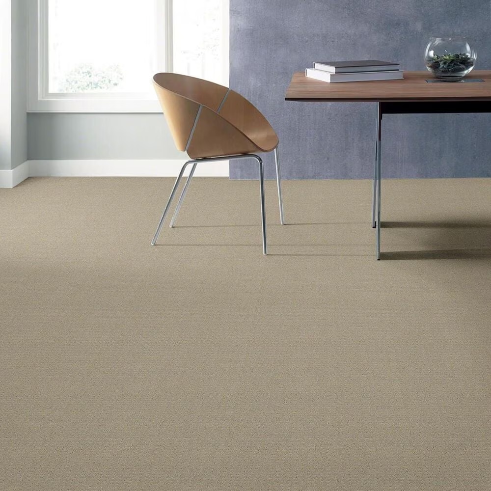 16750-shaw-perpetual-move-carpet-in-mindful-1.jpg