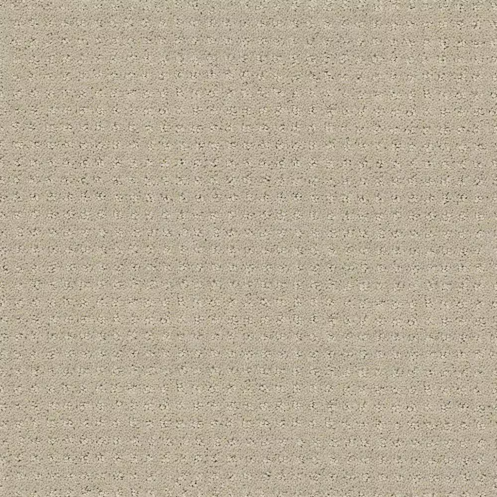 16750-shaw-perpetual-move-carpet-in-mindful-1.jpg