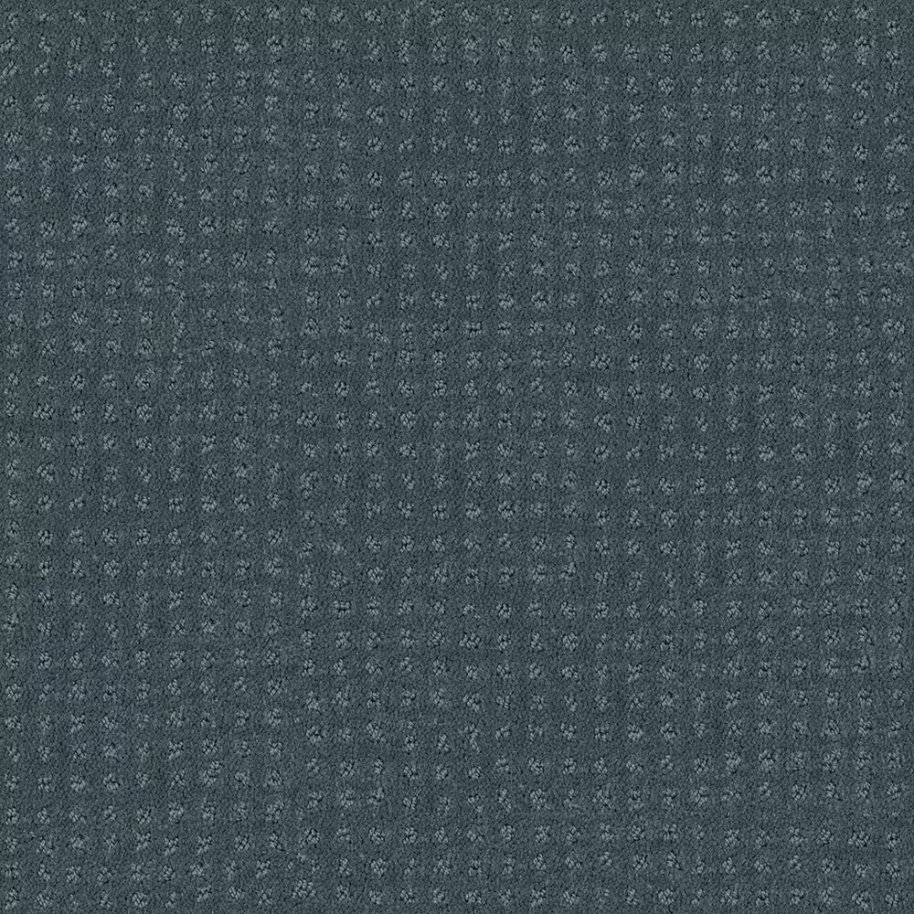 Shaw Perpetual Move Carpet in Oceanside