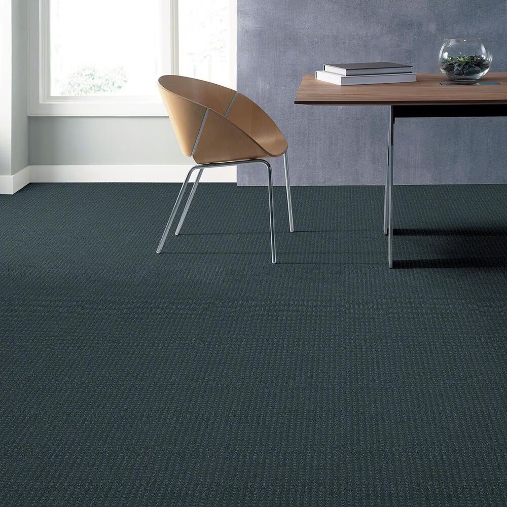 16855-shaw-perpetual-move-carpet-in-oceanside-1.jpg