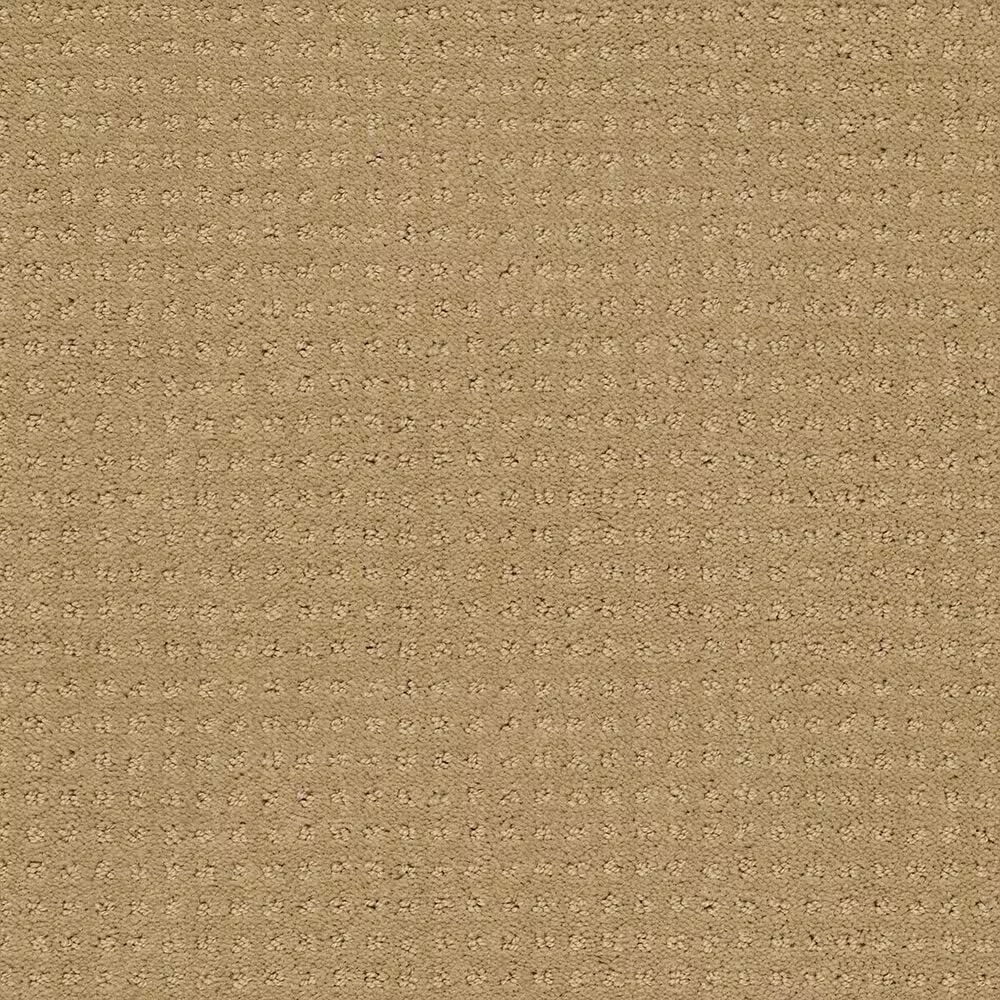 Shaw Perpetual Move Carpet in Warmth