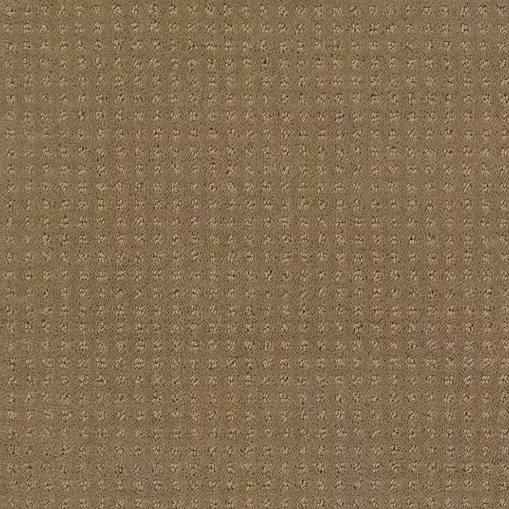 Shaw Perpetual Move Carpet in Grounded