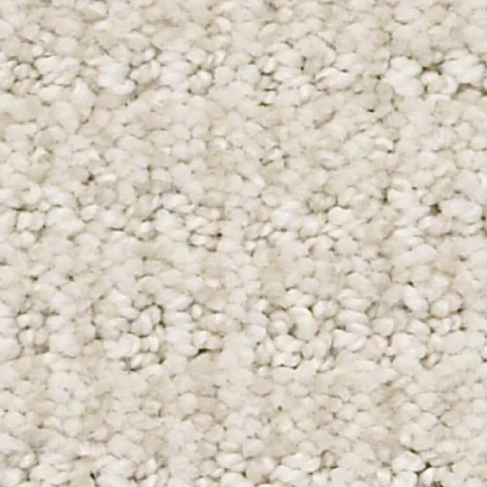 Shaw Insightful Way Carpet in Alabaster