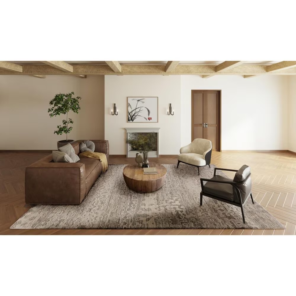 170155-dalyn-rug-company-denizi-5-3-x-7-8-silver-area-rug-1.jpg