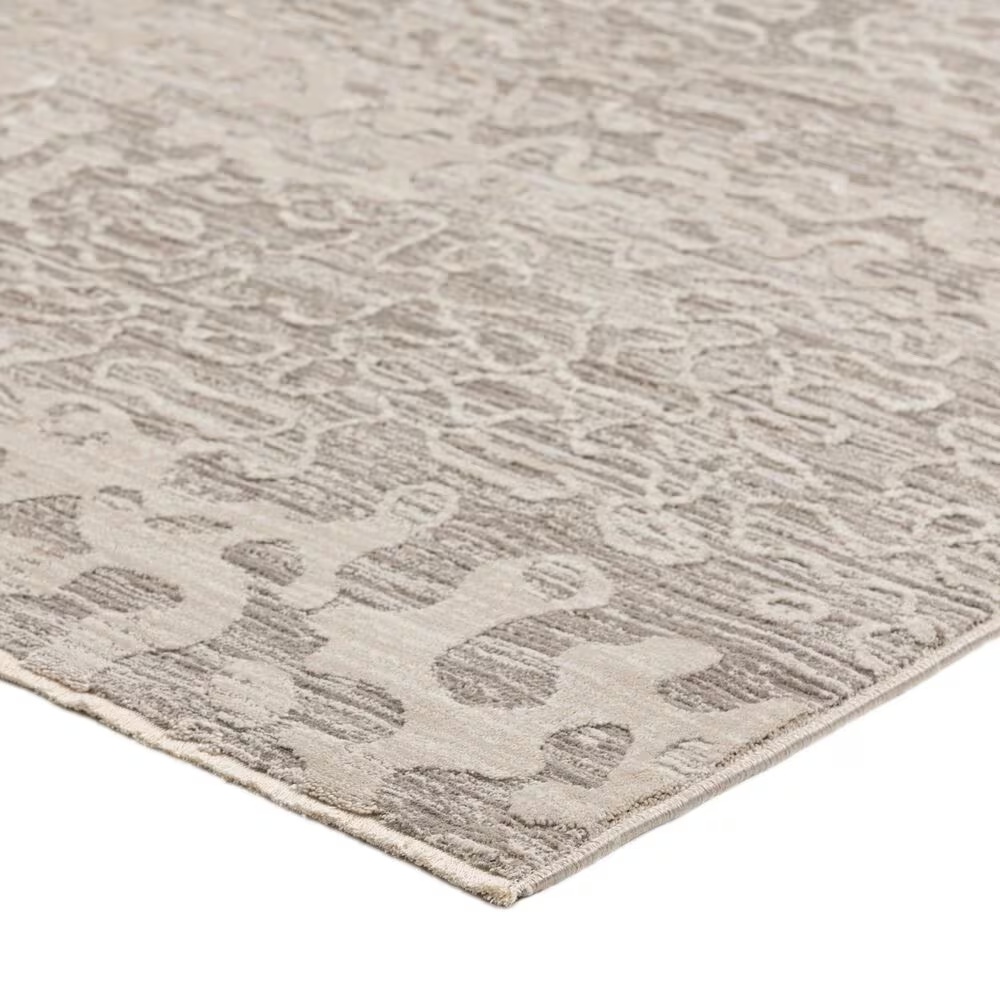 170155-dalyn-rug-company-denizi-5-3-x-7-8-silver-area-rug-1.jpg