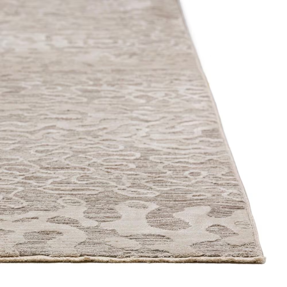 170155-dalyn-rug-company-denizi-5-3-x-7-8-silver-area-rug-1.jpg
